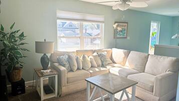 Smart TV, fireplace, books