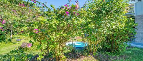 A garden with a swimming pool, lush greenery, and flowering plants.