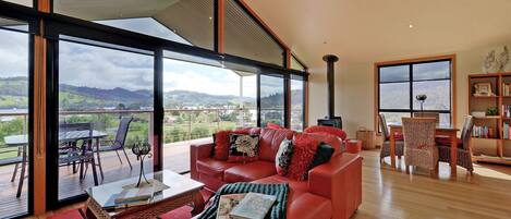 Smart TV, chimenea, reproductor de DVD y libros