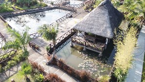 A resort with thatched-roof structures, a water body with lily pads, and a paved walkway. - Tierra de Lago (Los Banos)