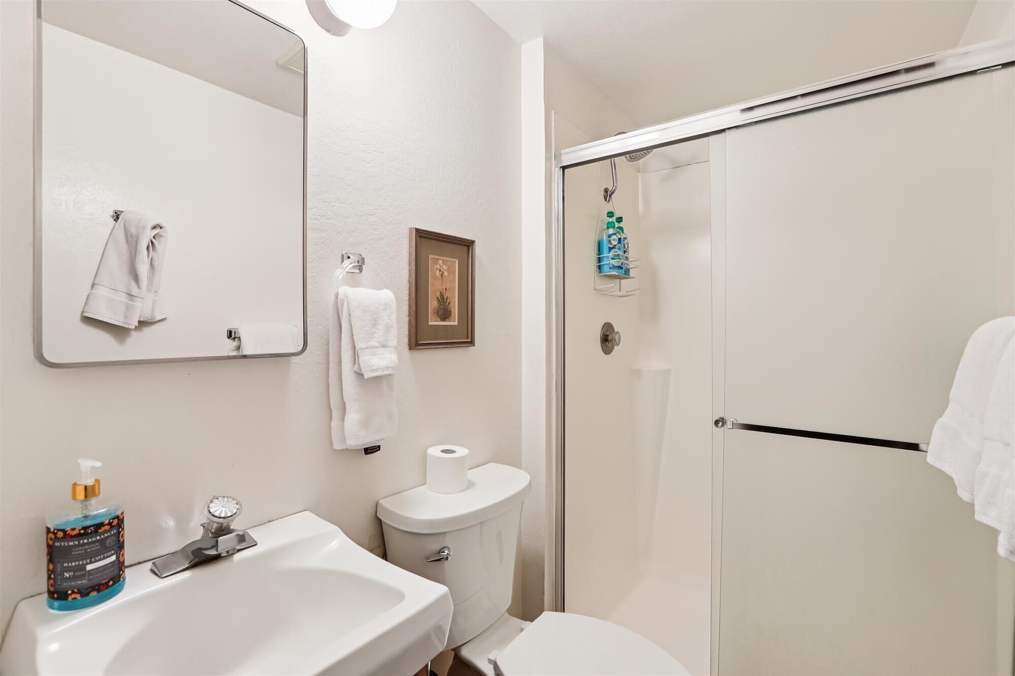 Een badkamer met een wastafel, toilet en douche. Handdoeken hangen aan de muur en boven het toilet hangt een lijst met een afbeelding.