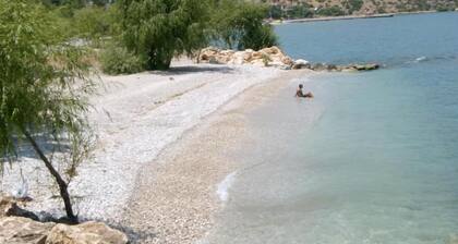 Sehsuvar Peace Pension