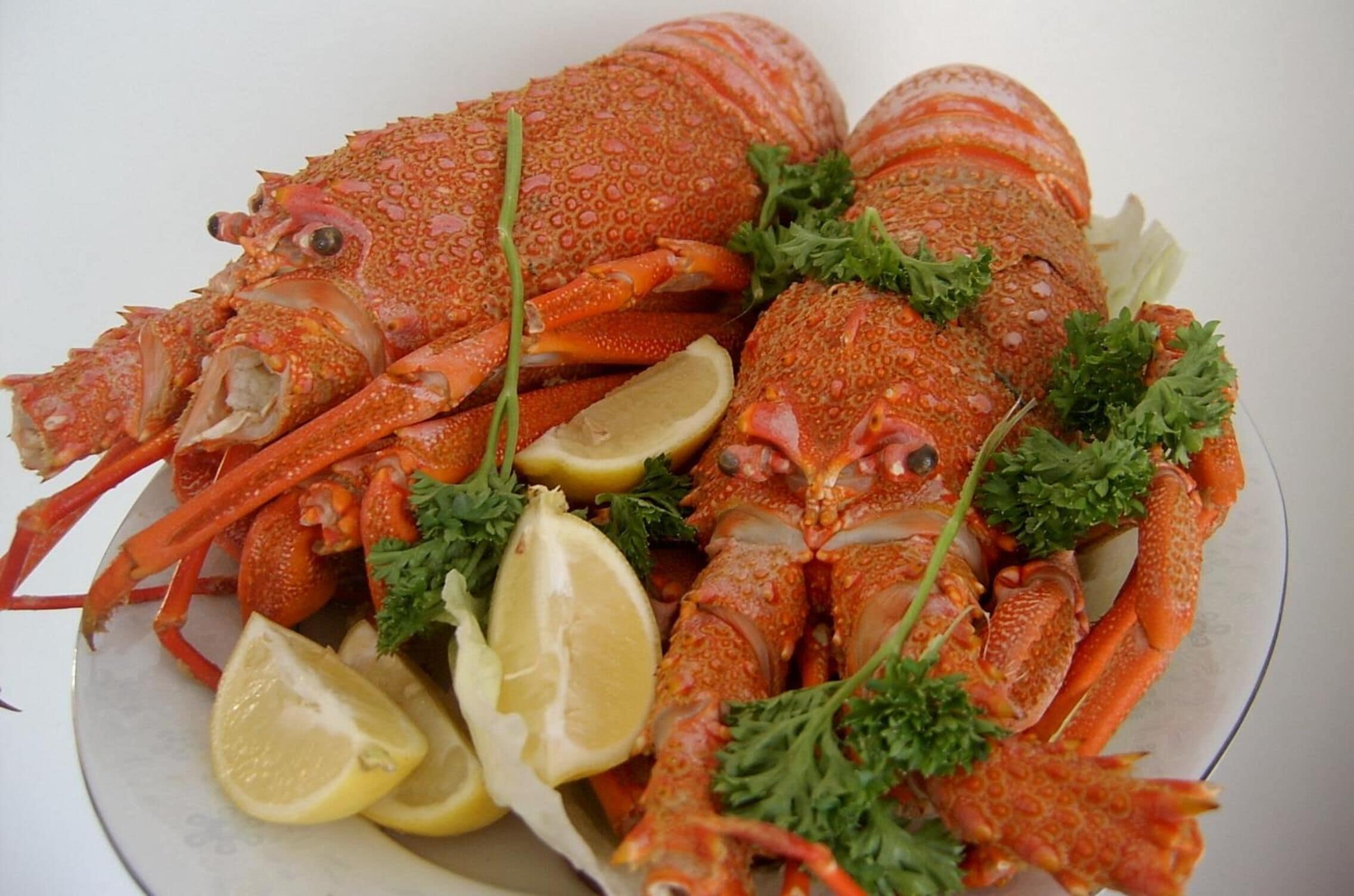 Breakfast and dinner served