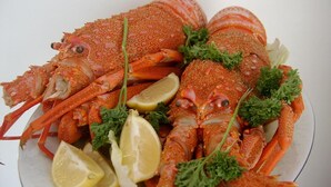 Un plato de langostas cocidas adornado con perejil y rodajas de limón.