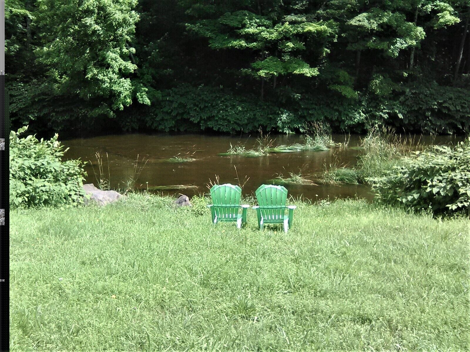 Two green chairs facing a pond surrounded by lush greenery.