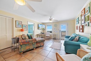 TV, DVD player, video library