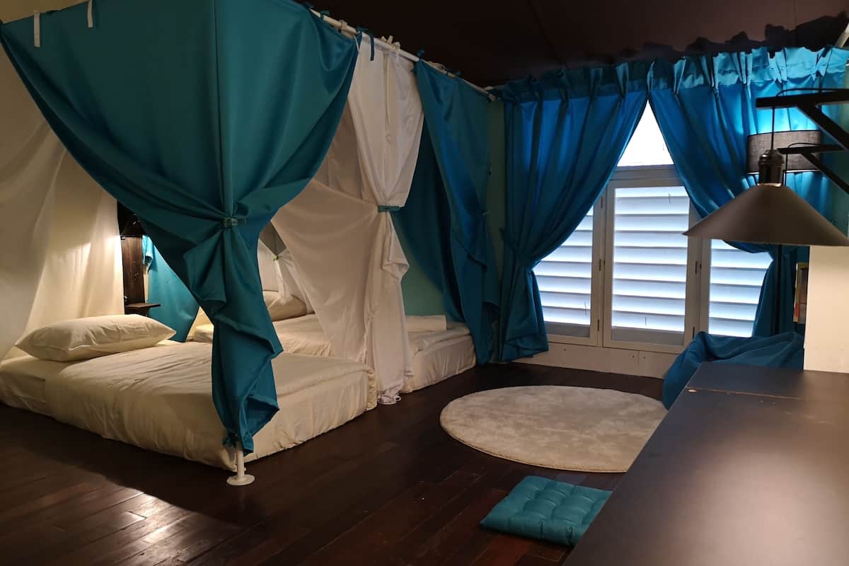 comfort shared dormitory, women only | 1 bedroom, desk, laptop workspace, iron/ironing board