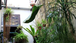 Un callejón estrecho con plantas en macetas y faroles colgantes.