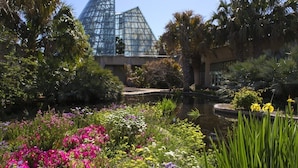 Un jardín con un estanque, diversas flores y un edificio moderno con fachada de vidrio al fondo.