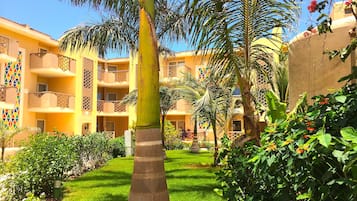 Un patio con palmeras, un césped cuidado y un edificio con balcones.