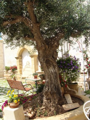 Garden - Guest House Al Gattopardo (Favignana)