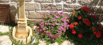 Guest House Al Gattopardo