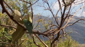 Front of property - Nalanda Relaxation And Caping Site (Matale)