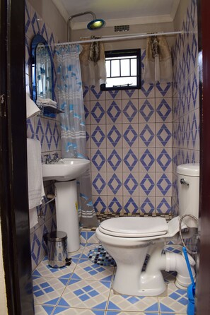 Standard Double Room | Bathroom | Shower, rainfall showerhead, free toiletries, towels
