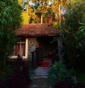 Escape to a serene cottage nestled in a lush garden, surrounded by vibrant plants and shrubs.