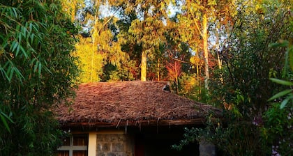 Le Bambou Gorilla Lodge