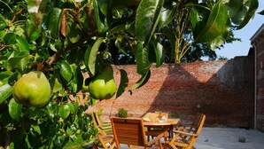 Um pátio com uma mesa e cadeiras de madeira redondas, uma parede de tijolos e uma árvore com frutos verdes.