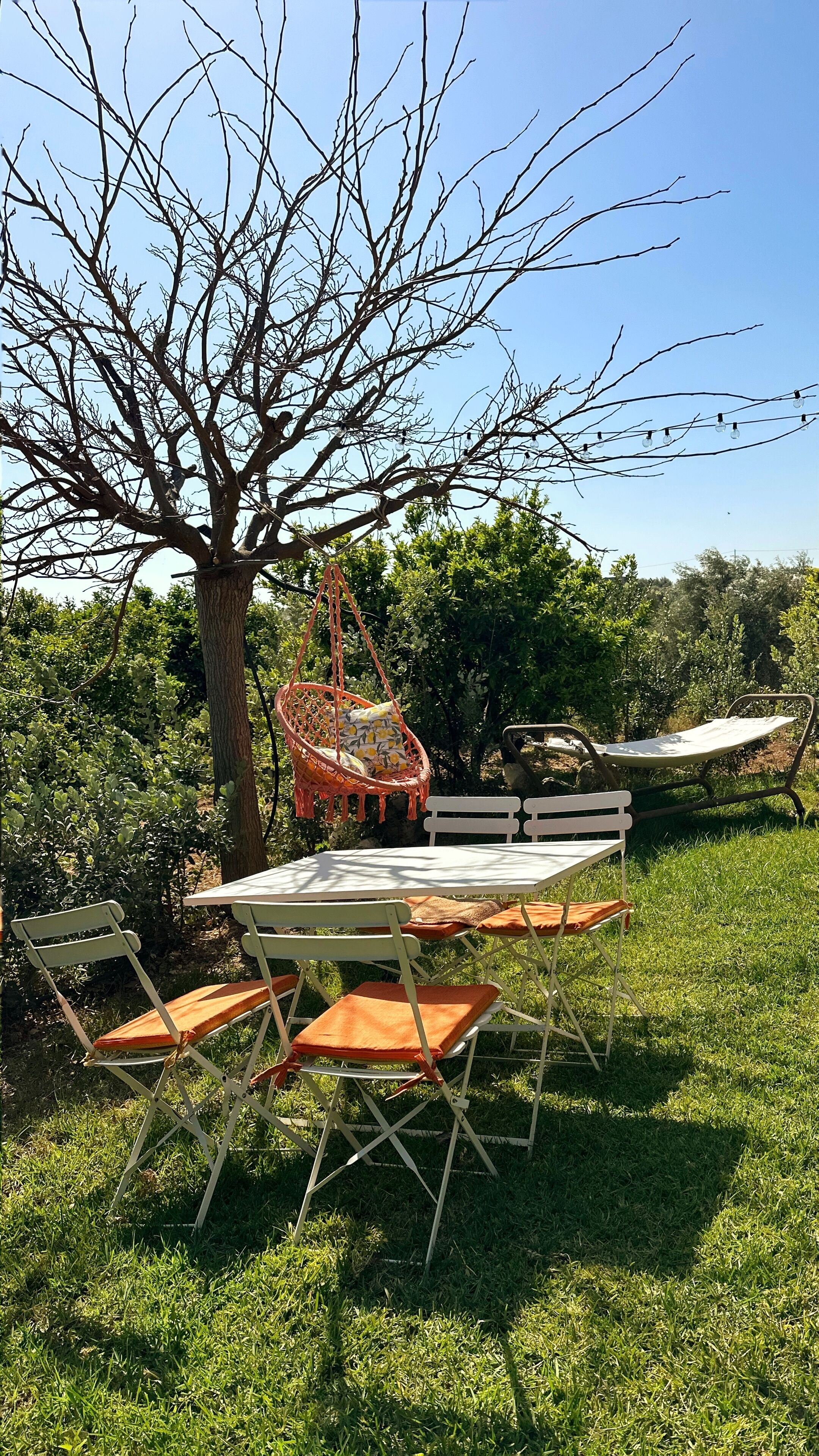 An outdoor seating area with a table and chairs, a hanging chair, and a metal bench.