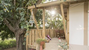 Una terraza de madera con una pérgola, una planta en maceta y una colección de cactus.