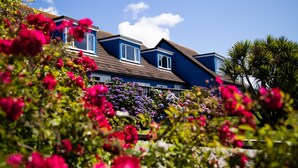 Une maison bleue avec deux fenêtres et un toit en pente, entourée de fleurs aux couleurs vives.