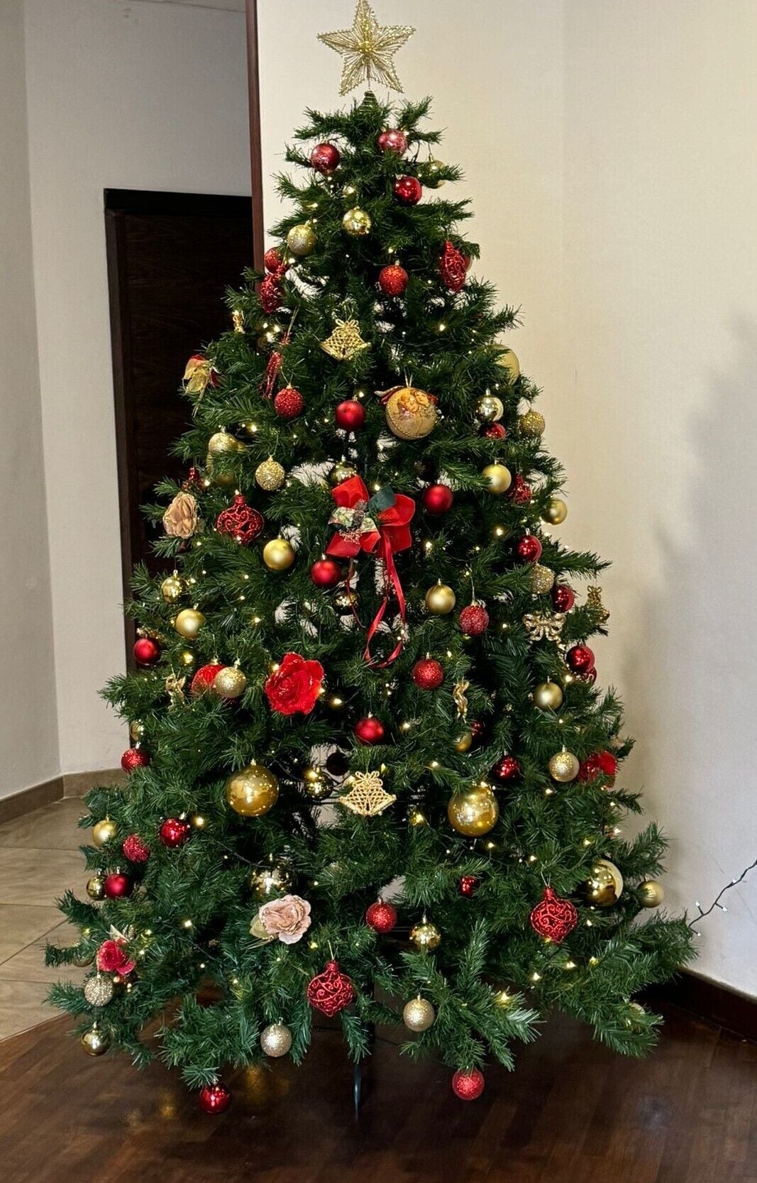 Foto - Hotel Virgilio