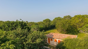 Una casa pequeña rodeada de abundante follaje verde.