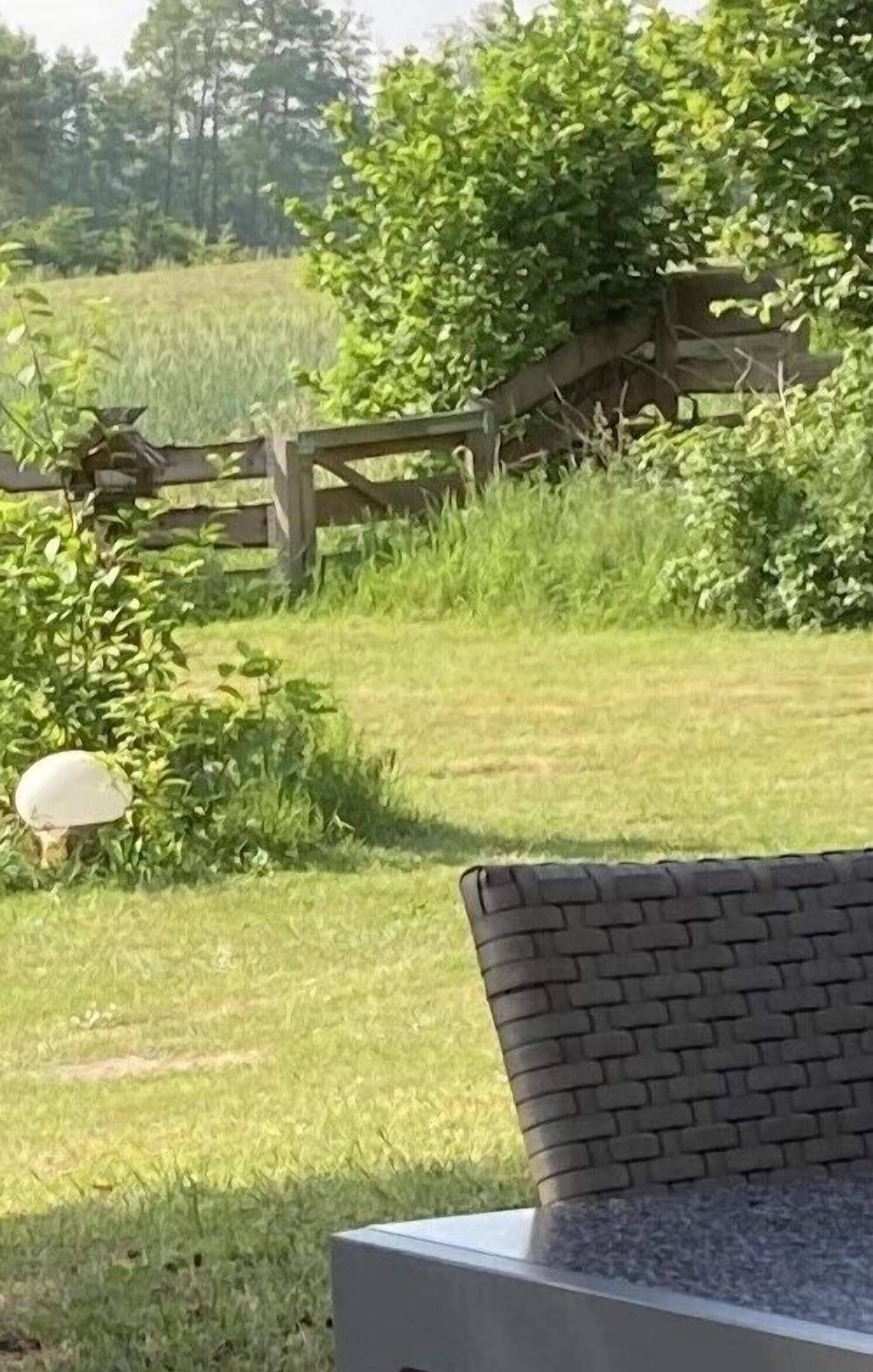 Căn hộ cơ bản, 2 phòng ngủ, không hút thuốc, hiên (1) | Hiên