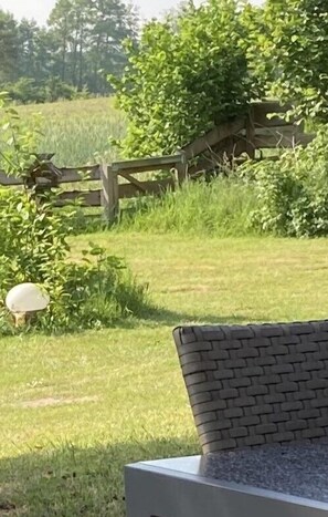 Basic Apartment, 2 Bedrooms, Non Smoking, Terrace (1) | Terrace/patio - Ferienhof Meyer (Nahrendorf)