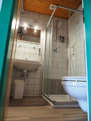 Een moderne badkamer met een douche in een glazen cabine, een witte wastafel en een toilet.