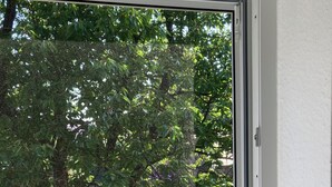 A window with a view of a tree and a grassy area. - Ferienhof Meyer (Nahrendorf)