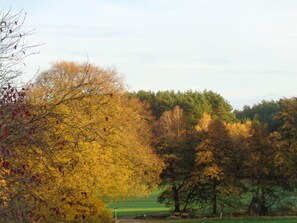 Een park met herfstbomen en een grasveld.