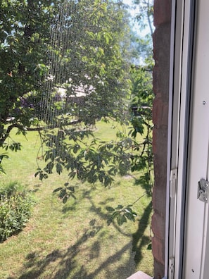 Land view from property