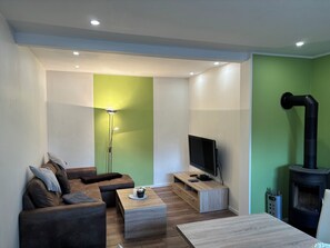 Televisión, chimenea, reproductor de DVD y libros 