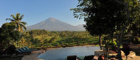 Outdoor pool, sun loungers