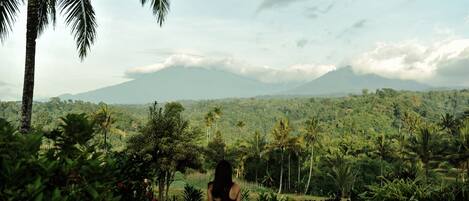 A person sitting on grass with a view of a lush landscape and mountains in the distance.