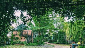 A garden with a paved walkway, a brick wall, and lush greenery. - Ginger Bread House - Pet Lover Resort (Nakhon Nayok)