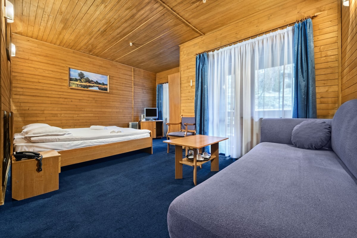 A wooden-paneled room with a bed, a sofa, a small table, and a TV.