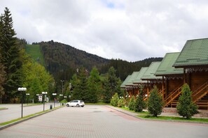 Mountain view - Bukovel Hotel (Bukovel)