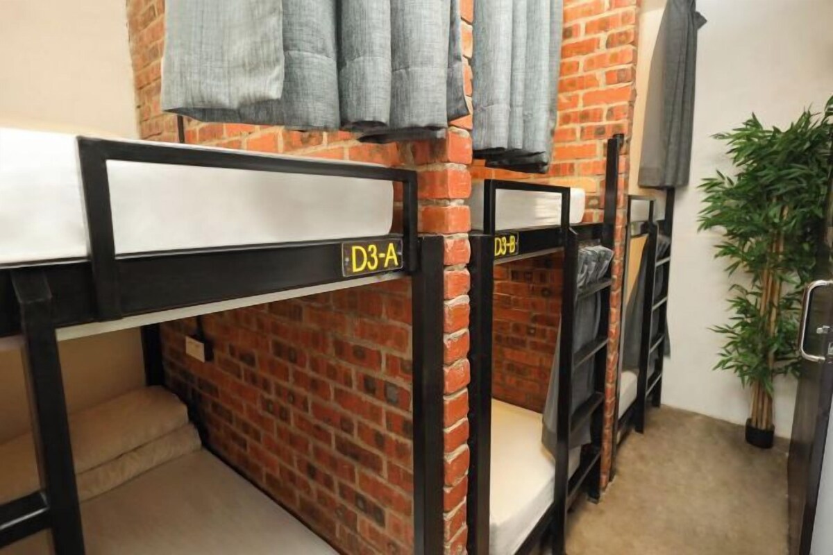 A dormitory room with bunk beds labeled D3-A and D3-B, a brick wall, and a potted plant.