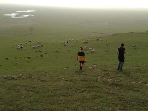 Exterior - Xanadu yurts (Xilin Gol)