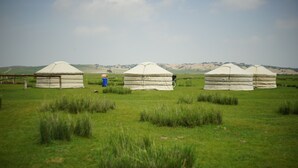 Three yurts in a grassy field with a clear sky. - Xanadu yurts (Xilin Gol)