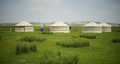 Xanadu yurts