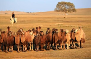 Vista desde la propiedad