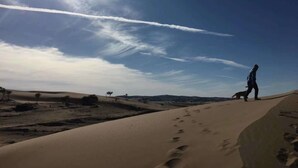 A desert landscape with sand dunes, a clear sky, and a person walking on the sand. - Xanadu yurts (Xilin Gol)