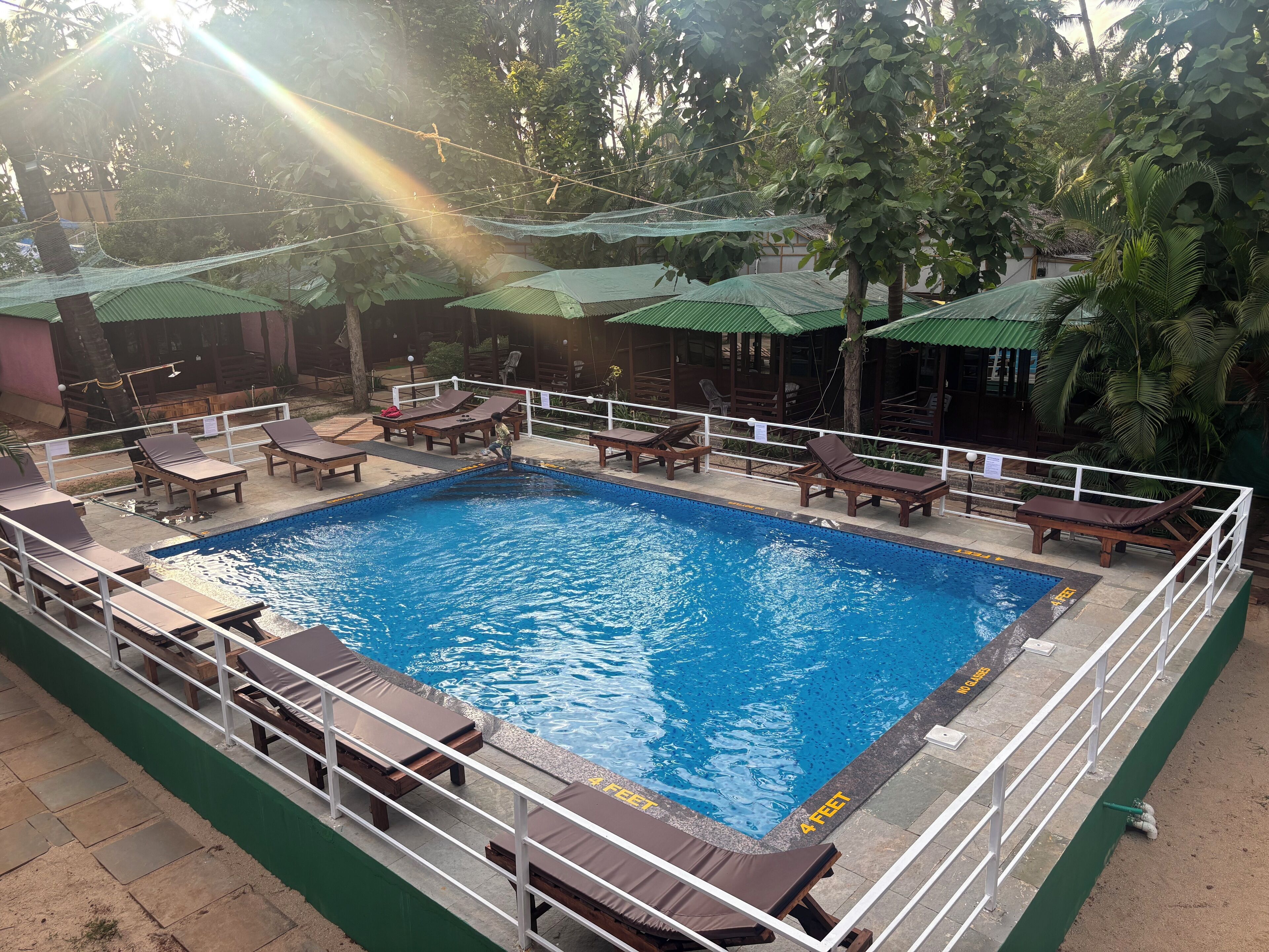 Una piscina con sillas de descanso y sombrillas, rodeada de follaje.