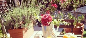 Peregrinando, pensión con encanto