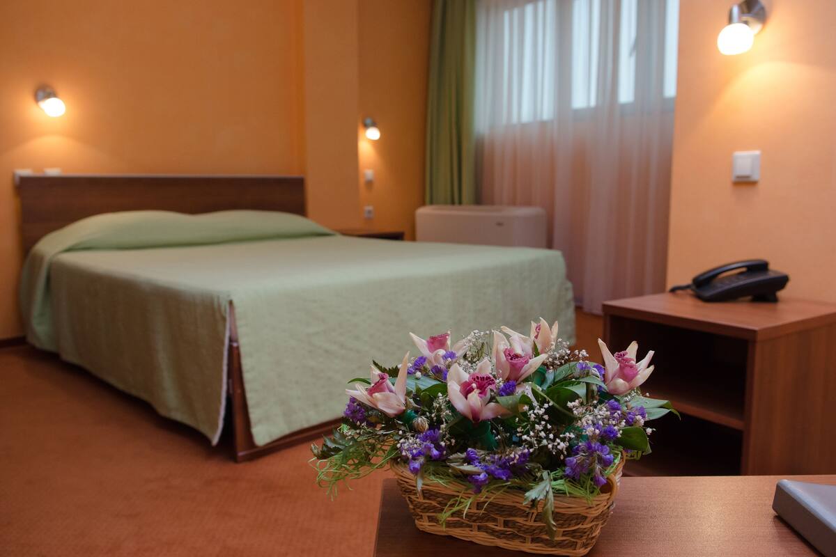Basic Double Room