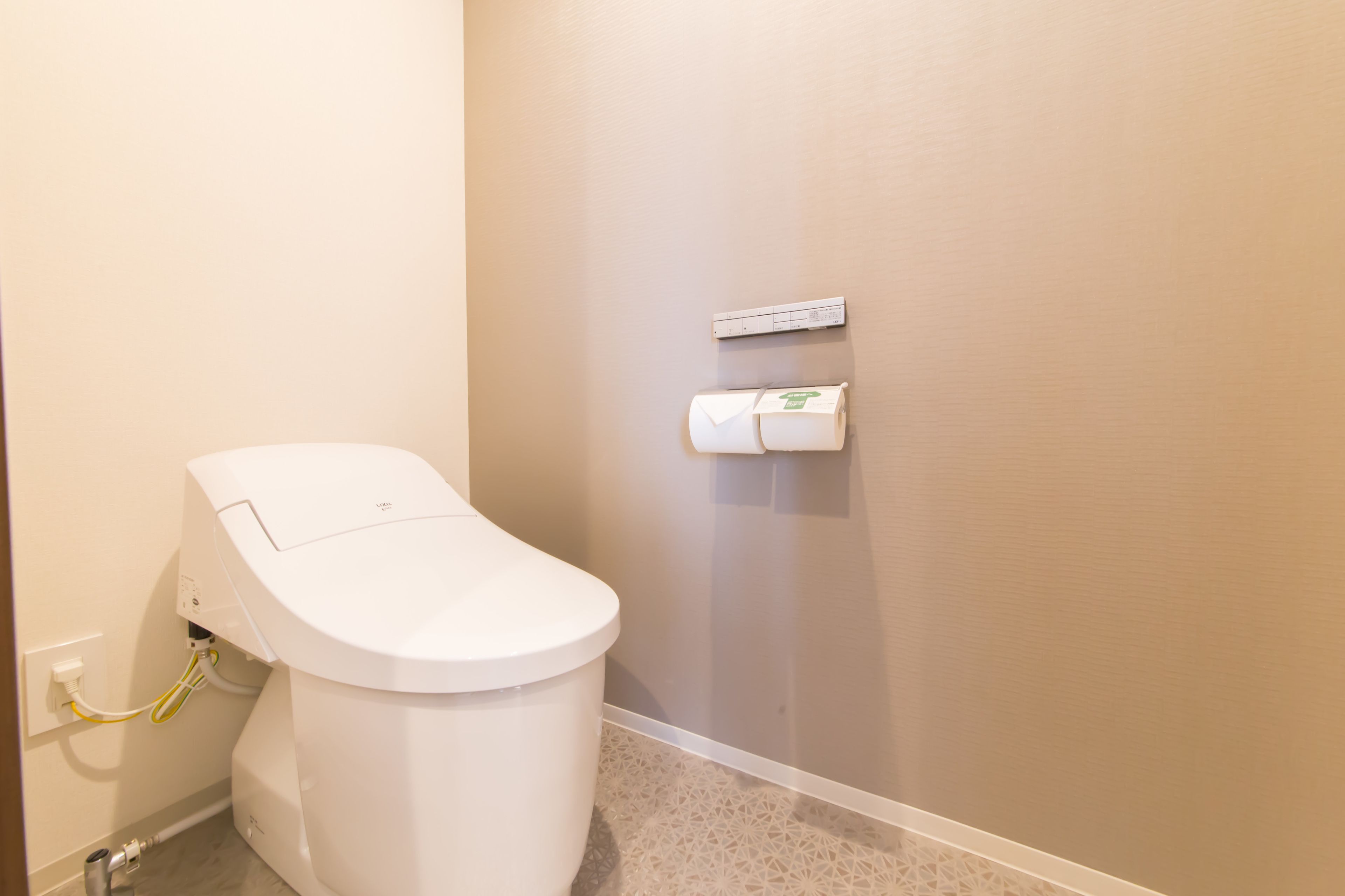 Des toilettes avec une pédale au sol, un porte-rouleau de papier toilette et un bouton de chasse d’eau fixé au mur.