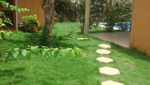 Tuin