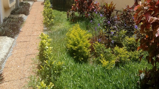 Un jardin avec différentes espèces de plantes et un grand réservoir d’eau vert.